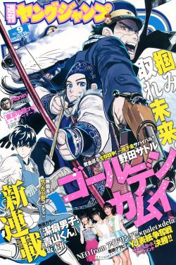 岳婿合体内容介绍